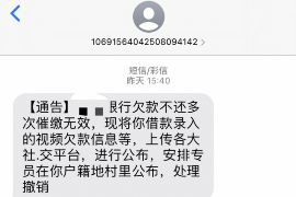 垦利为什么选择专业追讨公司来处理您的债务纠纷？